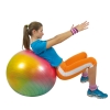 Gymnic Plus Fitball