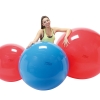 Physio Gymnic Fitball