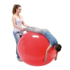 Physio Gymnic Fitball