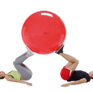 Physio Gymnic Fitball